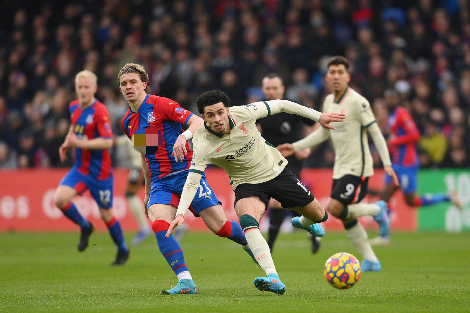 在管理明星 在管理明星